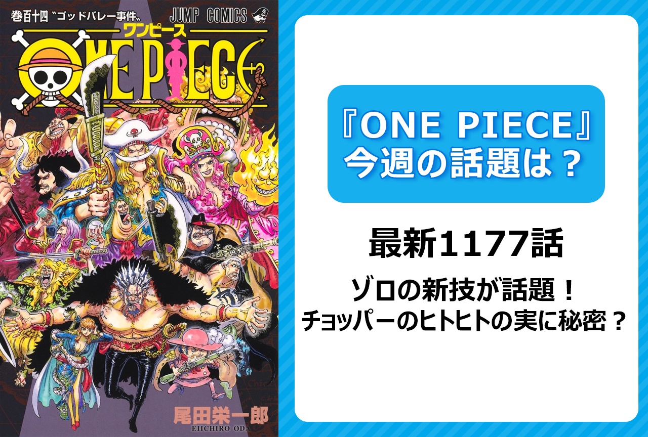 【今週の『ONE PIECE』の話題は？】ゾロの新技が話題 チョッパーの「ヒトヒトの実」に秘密が？＜1177話＞