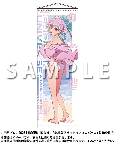 「『グリッドマン ユニバース』オンラインくじ 2026 feat.アカネ」がアニメイト通販にて販売スタート！　描き下ろしイラスト使用の景品も当たる!!-4