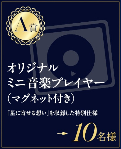 【DAM×東方Project】キャンペーン限定のレアグッズを手に入れよう！ 『幽閉サテライト』歌唱キャンペーン開催決定！-3