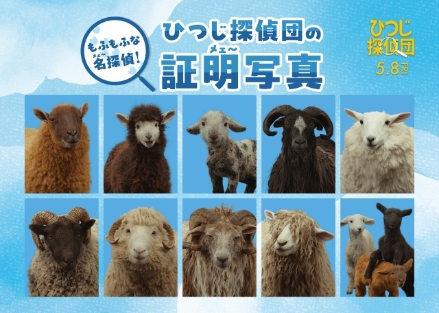 『ひつじ探偵団』日本語吹替版声優に山路和弘さん、井上喜久子さん、千葉繁さん、チョーさん、麦人さん、石川界人さんらが決定！-12