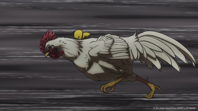 アニメ『ニワトリ・ファイター』第9話「獣蹄鳥跡（じゅうていちょうせき）」先行場面カット＆あらすじ到着！-4