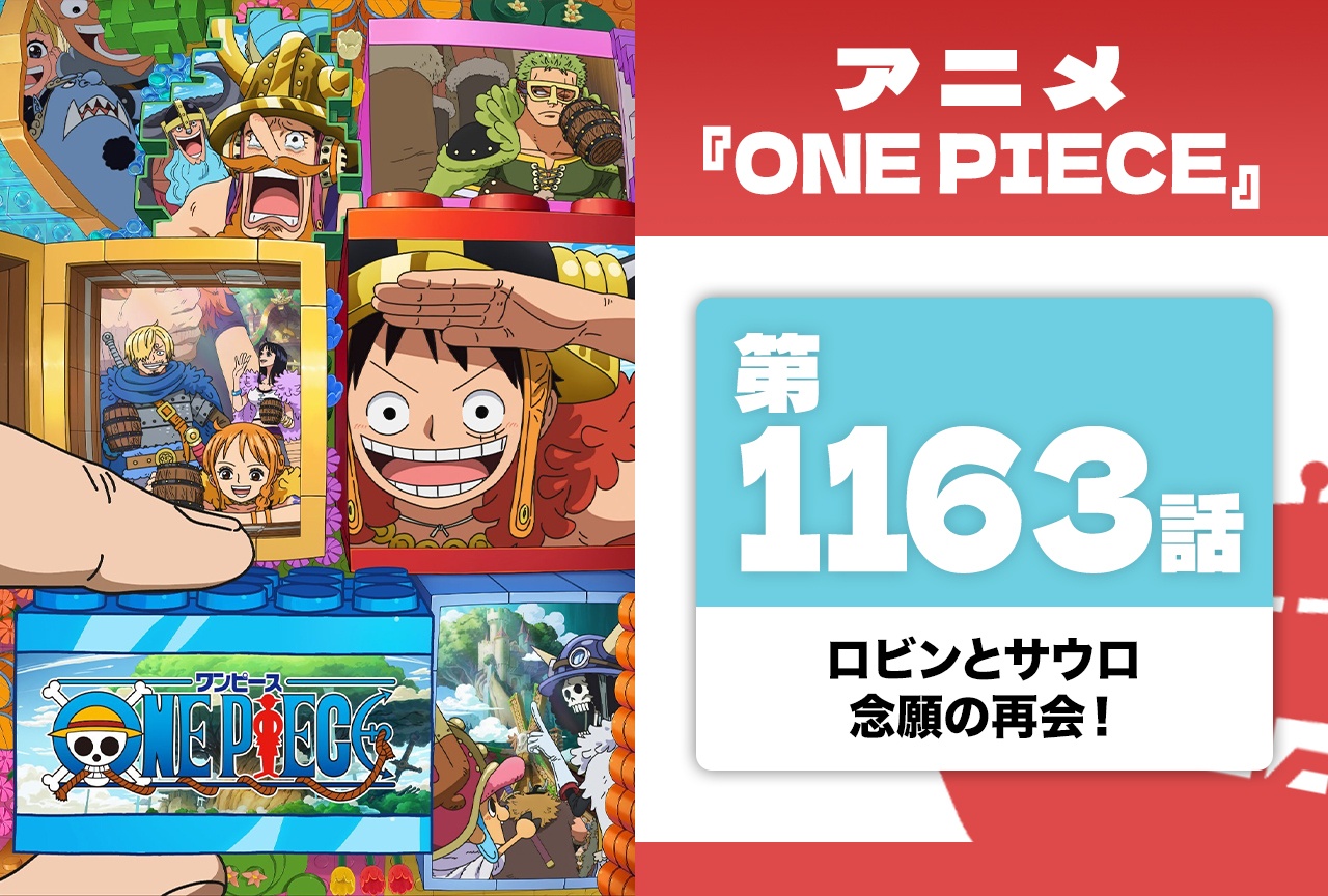 アニメ『ONE PIECE』第1163話振り返り|ロビンとサウロ、念願の再会
