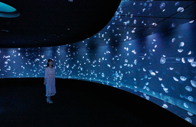 【『アクアリウムは踊らない』×「サンシャイン水族館」コラボ第2弾】夜間限定 体験型謎解きイベント「館長からの挑戦状」開催!!-10