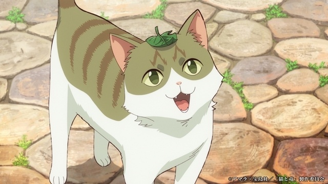 夏アニメ『猫と竜』第1話「猫と竜」より先行場面カット＆あらすじ公開！-6