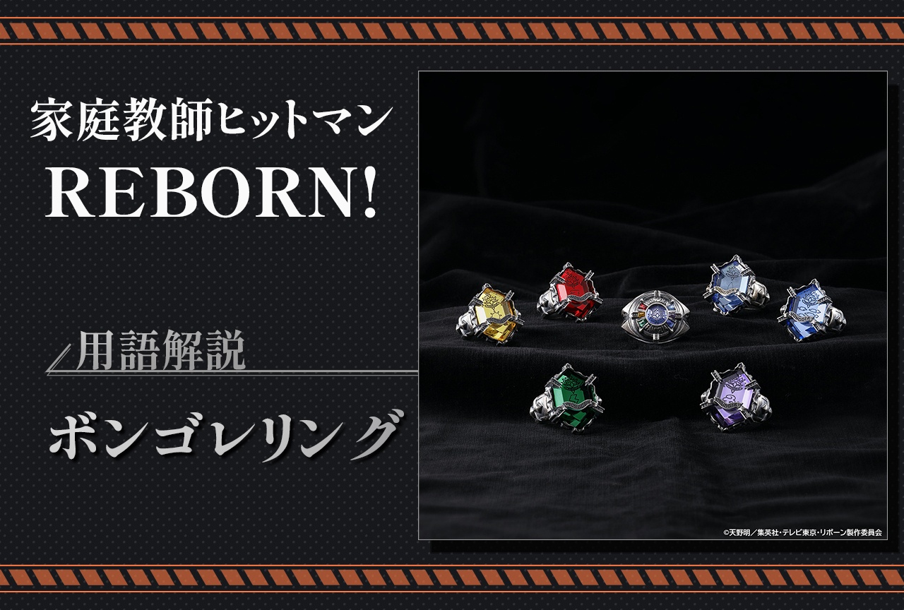 『REBORN!(リボーン)』ボンゴレリングとは【用語解説】