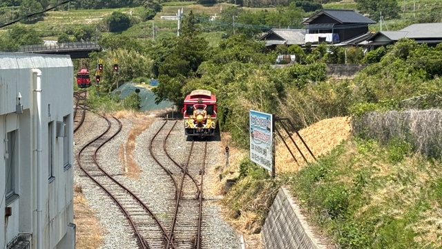 『ONE PIECE』の聖地・熊本へ！　2泊3日で巡る麦わらの一味像＆リアル「バラティエ」満喫のゆる聖地巡礼レポート-95