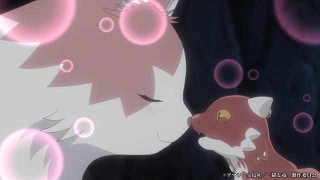 夏アニメ『猫と竜』第1話「猫と竜」より先行場面カット＆あらすじ公開！-1