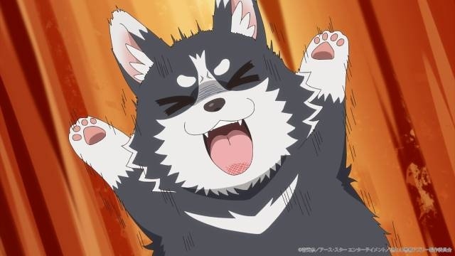アニメ『悠久の愚者アズリーの、賢者のすゝめ』2027年1月より放送開始＆ティザーPV公開！　アズリー役に豊永利行さん、ポチ役に日笠陽子さんが決定-3