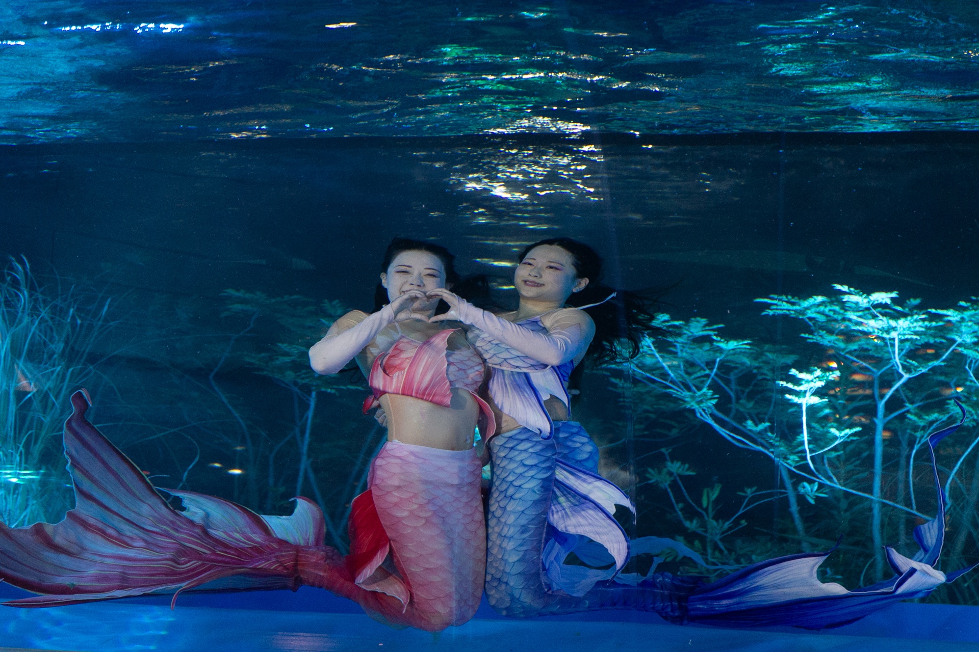 仮想空間〈ツクヨミ〉が夜の水族館に出現！　『超かぐや姫！』の世界観を体感できるサンシャイン水族館コラボの模様をレポート-18