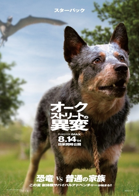 スターバック