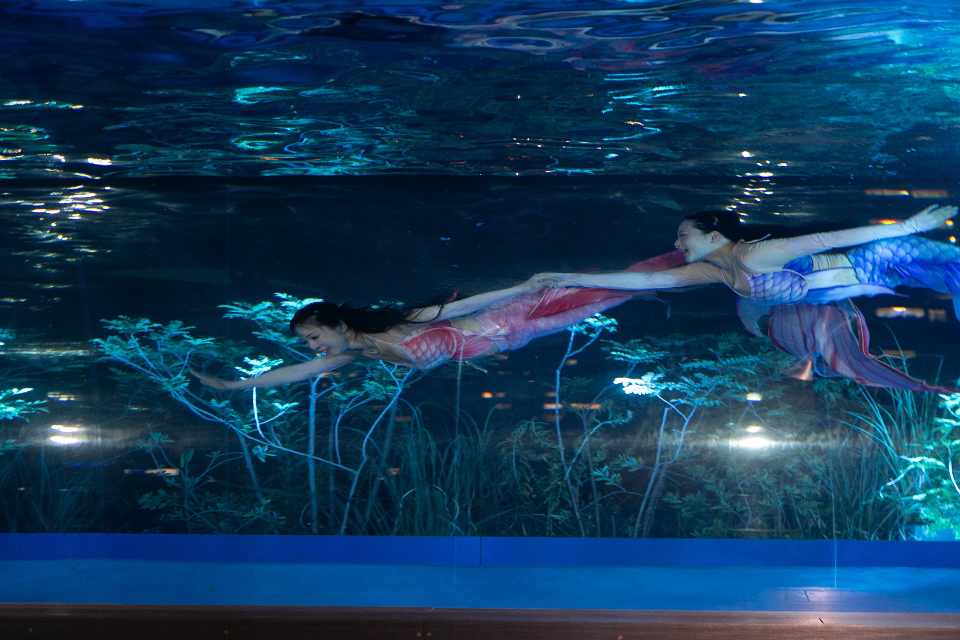仮想空間〈ツクヨミ〉が夜の水族館に出現！　『超かぐや姫！』の世界観を体感できるサンシャイン水族館コラボの模様をレポート-16