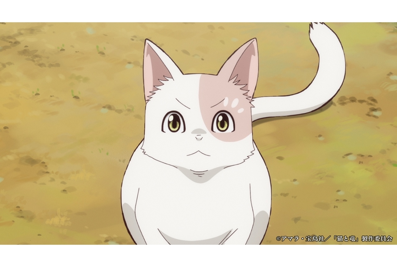 夏アニメ『猫と竜』第5話「白猫と少女」先行場面カット&あらすじ