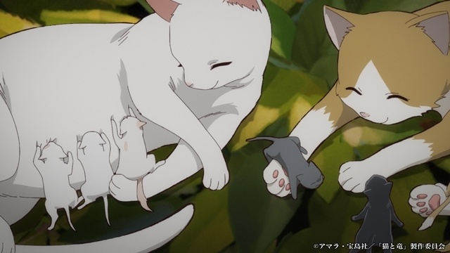 夏アニメ『猫と竜』第3話「子猫達と羽のおじちゃん」先行場面カット＆あらすじ公開-2