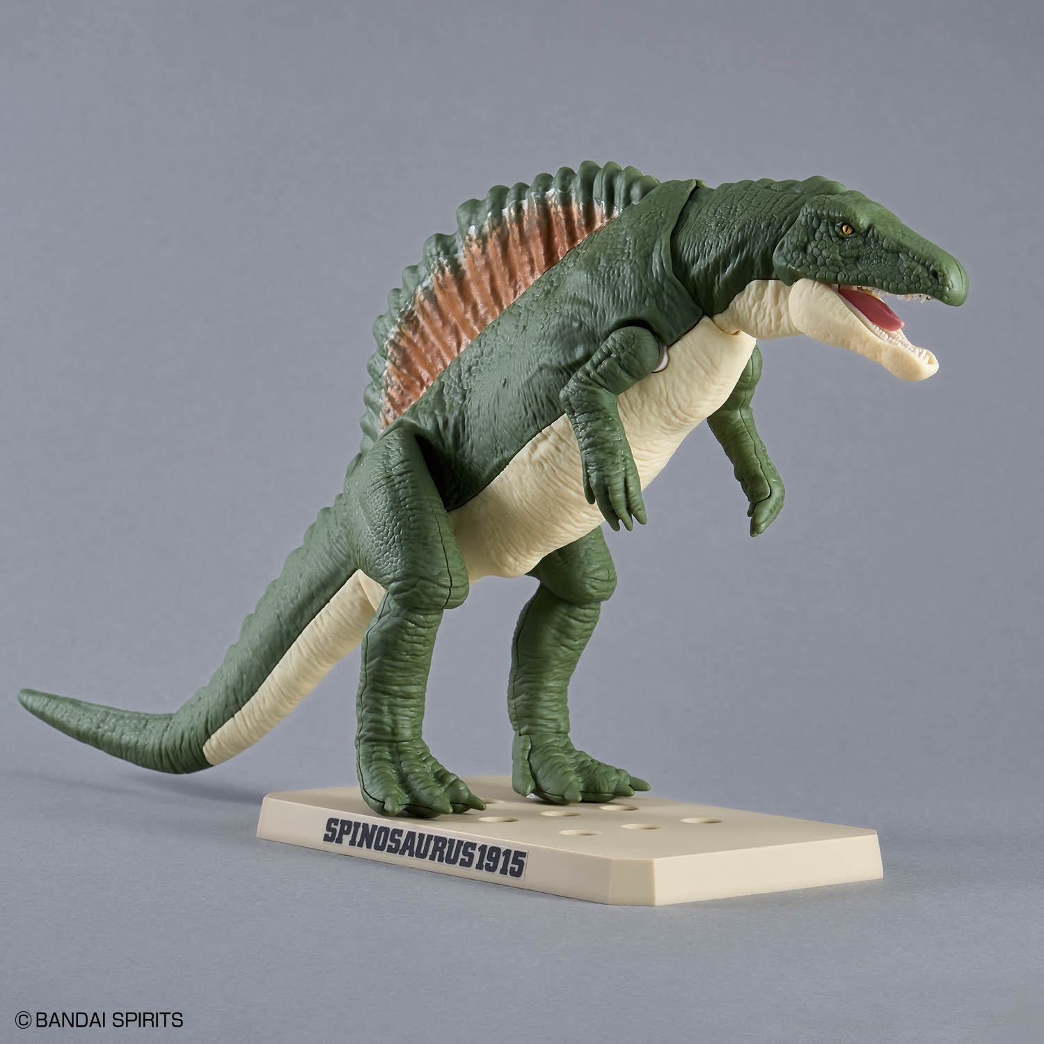 恐竜の色が判明したのはイカのおかげ!?　2026年夏アニメ『プラノサウルス ガチコセイブツ部』をきっと見たくなる！　爬虫類研究家・富田京一先生による“ガチ”の恐竜＆古生物講座-15