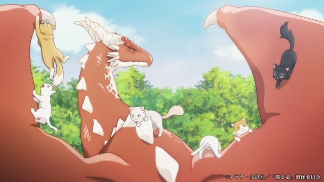 夏アニメ『猫と竜』OP＆ED映像のノンクレジット版公開！-1