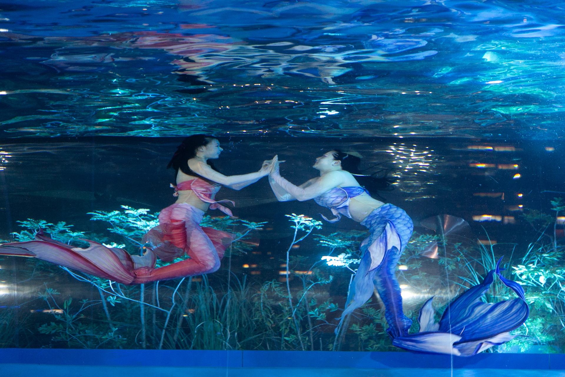 仮想空間〈ツクヨミ〉が夜の水族館に出現！　『超かぐや姫！』の世界観を体感できるサンシャイン水族館コラボの模様をレポート-15