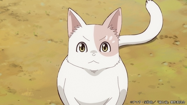 夏アニメ『猫と竜』第5話「白猫と少女」先行場面カット＆あらすじ公開-1
