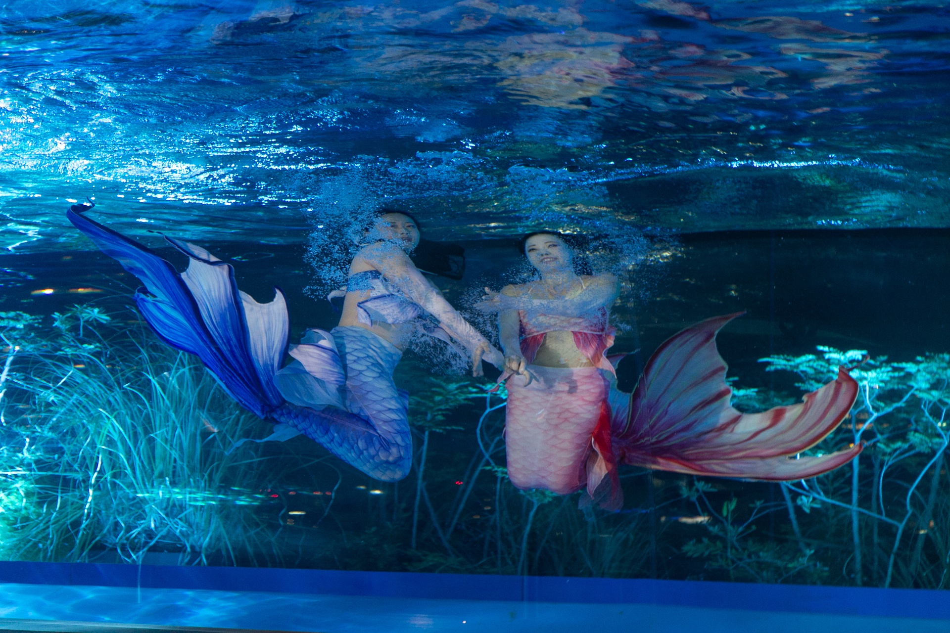 仮想空間〈ツクヨミ〉が夜の水族館に出現！　『超かぐや姫！』の世界観を体感できるサンシャイン水族館コラボの模様をレポート-17