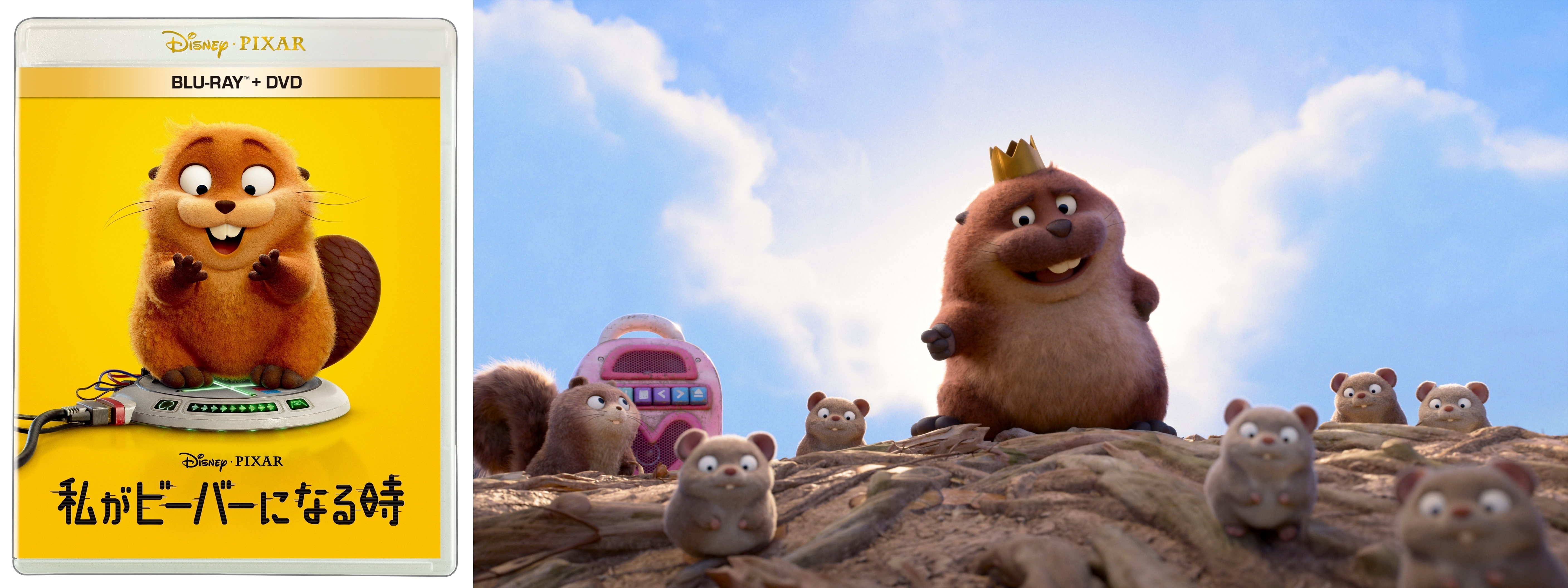 『私がビーバーになる時』7/22発売のブルーレイ+DVD セットより一部映像解禁