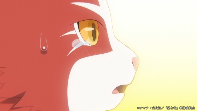 『猫と竜』第7話「母猫の帰還」のあらすじ＆先行場面カット＆予告映像が公開！-6