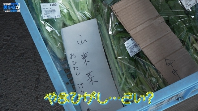 『転校先の清楚可憐な美少女が、昔男子と思って一緒に遊んだ幼馴染だった件』第7話「特別、だから」のあらすじ＆先行場面カットが公開！　長谷川育美さんによる奈良県月ヶ瀬旅ロケ番組第4回の公開日も決定-8