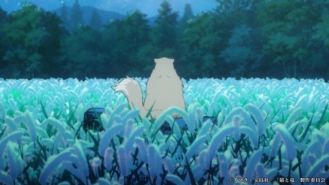 『猫と竜』第6話「猫じゃらしの夜」のあらすじ＆先行場面カット＆予告映像が公開！-6