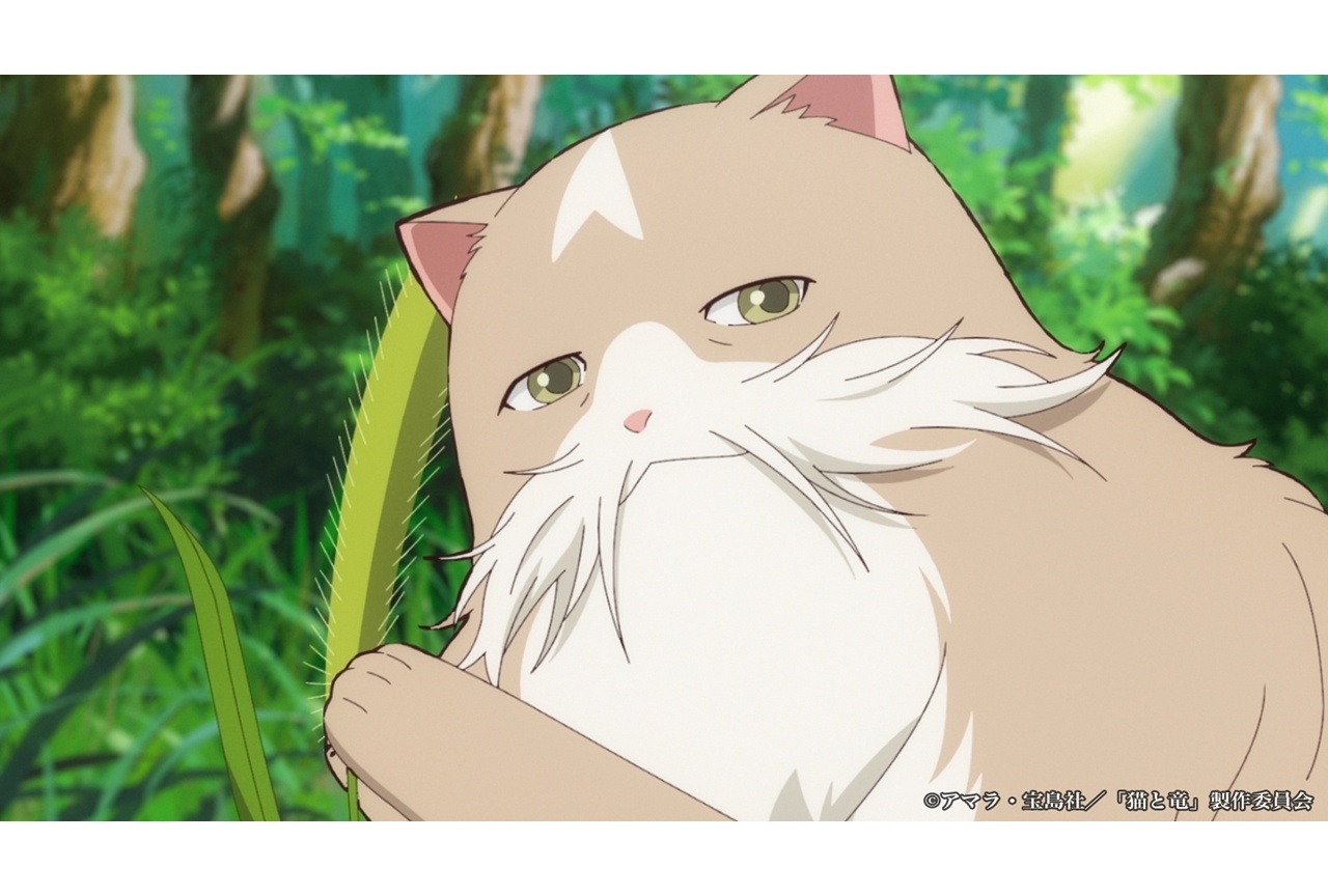 『猫と竜』第6話あらすじ＆場面カット