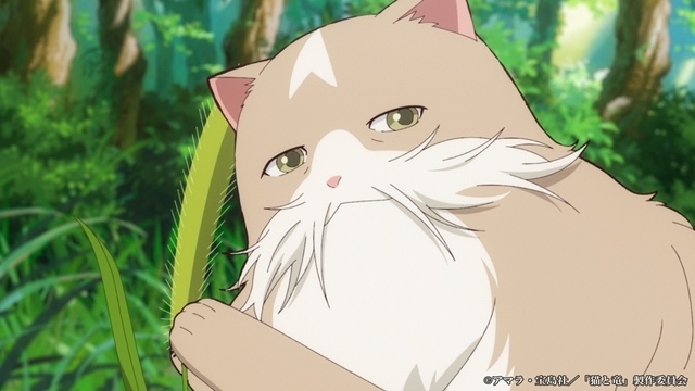 『猫と竜』第6話「猫じゃらしの夜」のあらすじ＆先行場面カット＆予告映像が公開！-1
