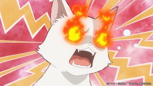 『猫と竜』第9話「白猫とぐうたら少女」のあらすじ＆先行場面カット＆予告映像が公開！-2