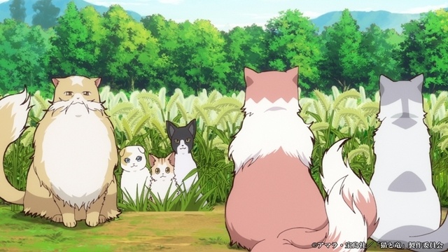 『猫と竜』第7話「母猫の帰還」のあらすじ＆先行場面カット＆予告映像が公開！-5