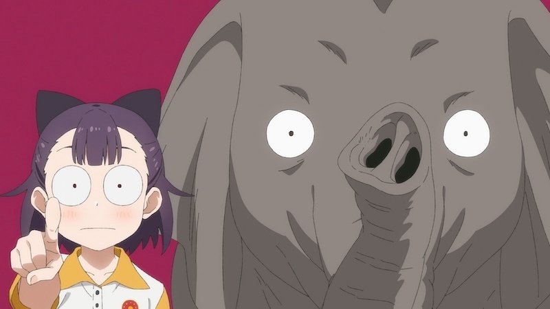 葵と茜は“二人でいっしょ”というのが何より大事──『グロウアップショウ ～ひまわりのサーカス団～』由良 葵役・楠木ともりさん×由良 茜役・夏吉ゆうこさんインタビュー第2弾-3
