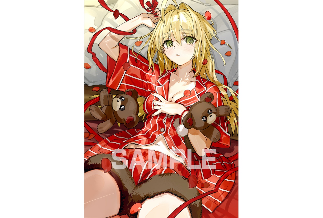 Fate/EX Recordが来年1/28発売、描きおろし絵公開