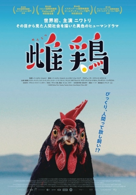 映画『雌鶏』とアニメ『ニワトリ・ファイター』のコラボが決定！　スペシャルイラストや原作者・桜谷シュウ先生、田中直樹さん（ココリコ）らのコメント到着-5