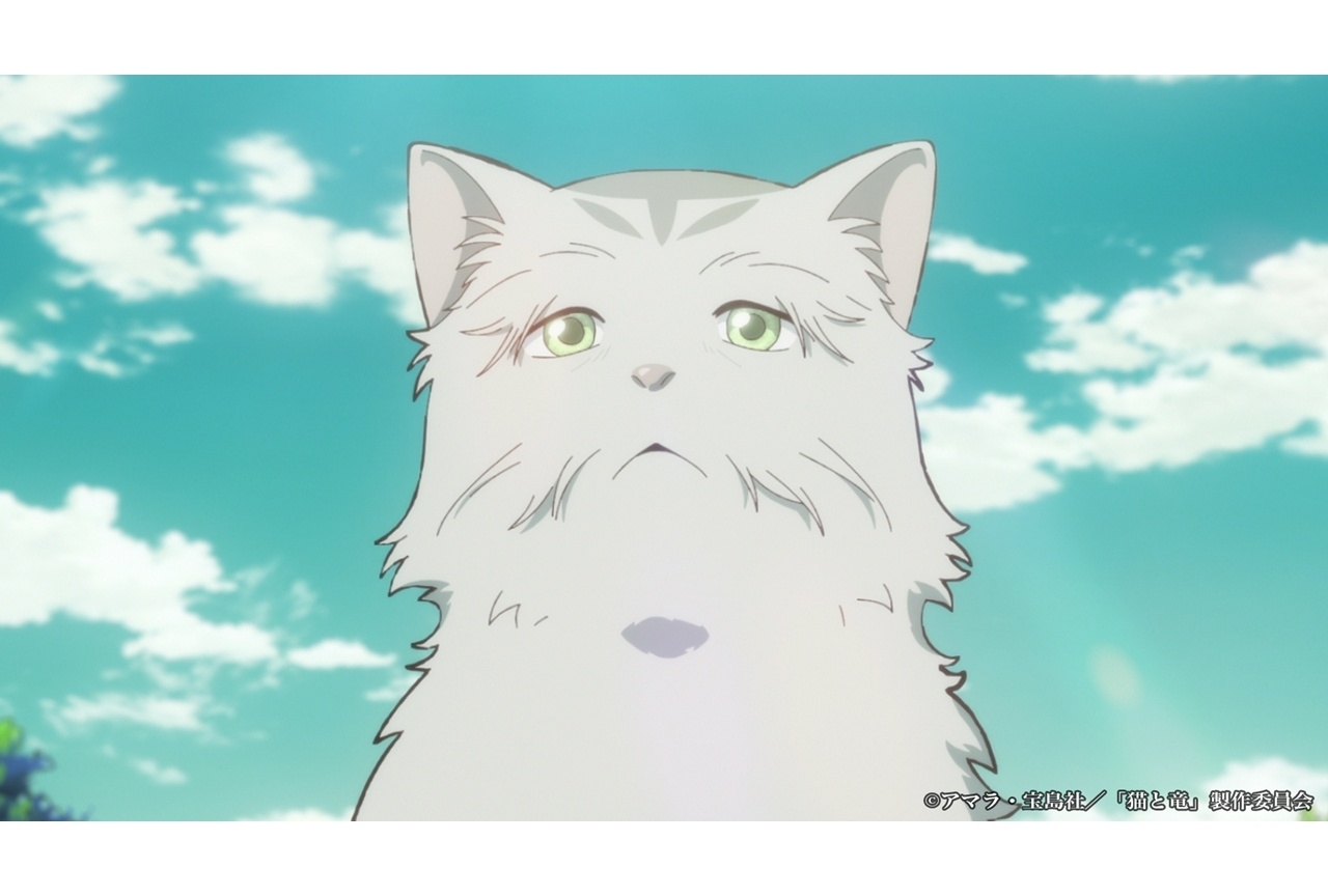 『猫と竜』第11話あらすじ＆場面カット