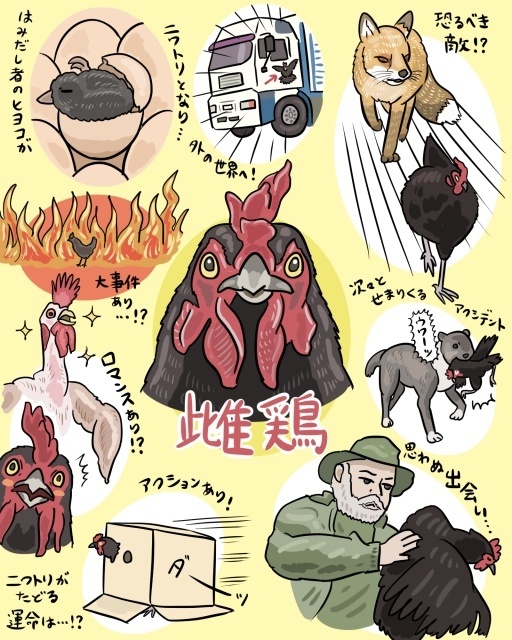 映画『雌鶏』とアニメ『ニワトリ・ファイター』のコラボが決定！　スペシャルイラストや原作者・桜谷シュウ先生、田中直樹さん（ココリコ）らのコメント到着-3