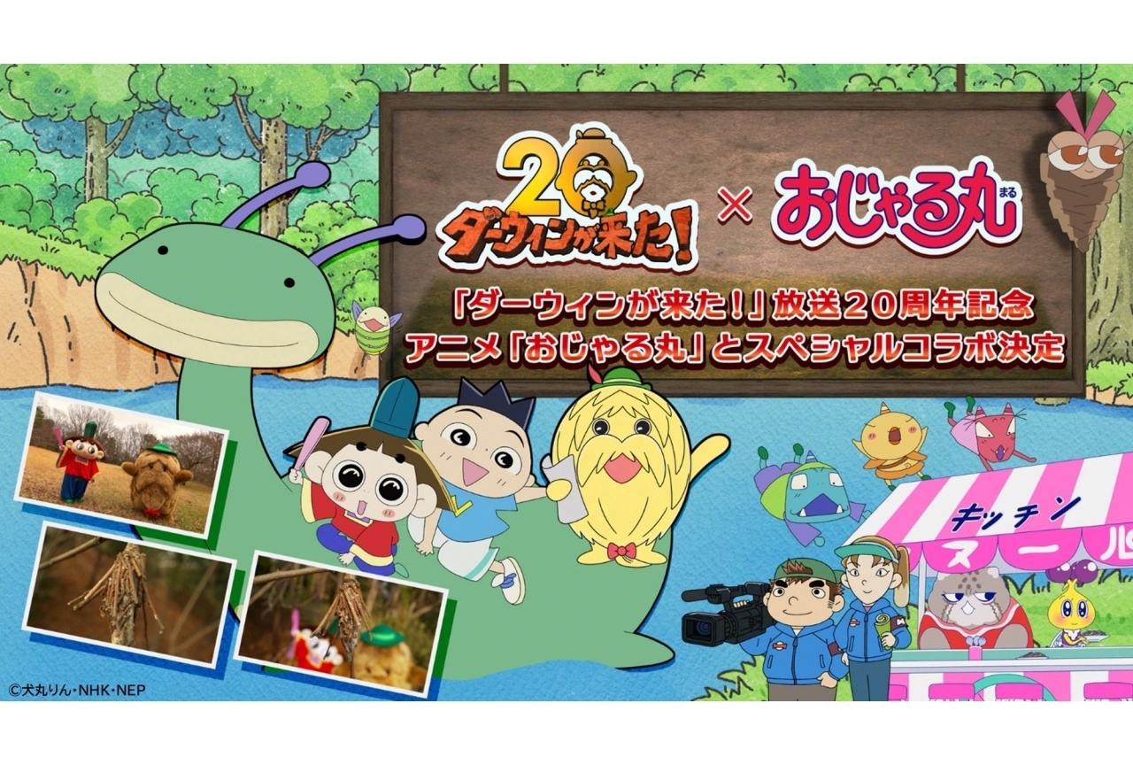 『ダーウィンが来た！』×『おじゃる丸』コラボ決定｜龍田直樹らよりコメント到着