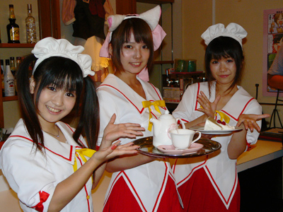 2010年冬スタートの『おまもりひまり』がアキバで鮮烈アピール！メイドカフェでの会見を直撃＆動画メッセージをいただきました！！-3