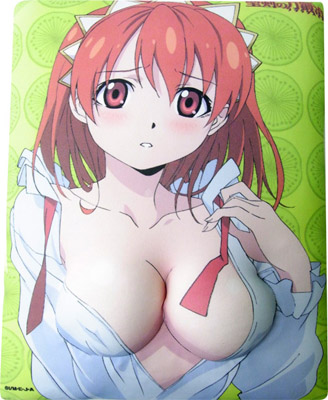 【コミケ77】『一騎当千XTREME XECUTOR』の先行発売DVDも！　美少女たちの艶姿がズラリのメディアファクトリーブースを紹介！-3