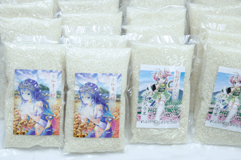 最先端の研究も展示で未来とコラボ――「つっコミ!! - つくばSF・コミックフェスタ2011」レポート～萌え米からイバライガー、二足歩行ロボットまで！-8