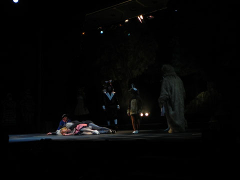 大山真志クンはじめフレッシュなキャストが熱演！――絶賛公演中の『オオカミ王　ロボ～シートン動物記より～』ゲネプロの様子を紹介-7