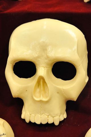 【WF2011[夏]】女の子だってこんなに楽しめちゃう！“猫アイテム”から“超キュートなスイーツ”まで！！“女子的”ワンフェスレポート――その5-4