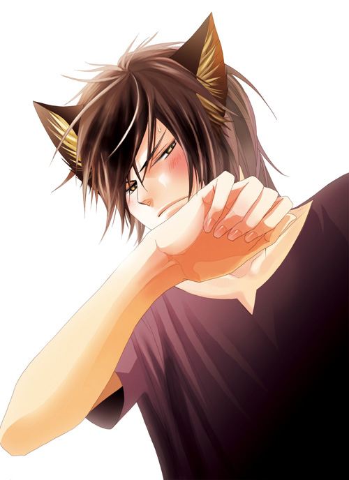 春野アヒルのコミックス『終 トラさんと狼さん』に、ドラマCD付きアニメイト限定版が登場！-1