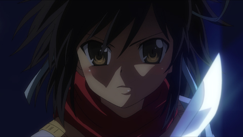 人気ゲーム『閃乱カグラ』アニメ化決定!-4