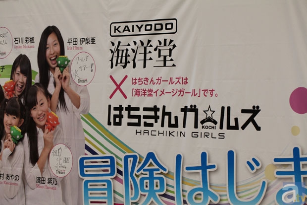 【WF2013冬】海洋堂ブース　フォトレポその５！　ゆるキャラ、動物などのフィギュアを紹介！-4