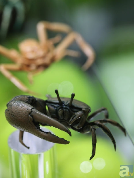 【WF2013冬】海洋堂ブース　フォトレポその５！　ゆるキャラ、動物などのフィギュアを紹介！-16