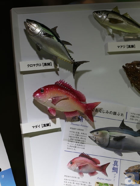 【WF2013冬】海洋堂ブース　フォトレポその５！　ゆるキャラ、動物などのフィギュアを紹介！-29