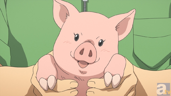 テレビアニメ『銀の匙 Silver Spoon』第3話「八軒、豚丼と出会う」より先行場面カットが到着！-3