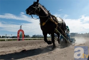 ゲストに木村良平さん＆三宅麻理恵さん　大井競馬場にて「銀の匙×ばんえい十勝コラボイベント」の開催が決定！-2