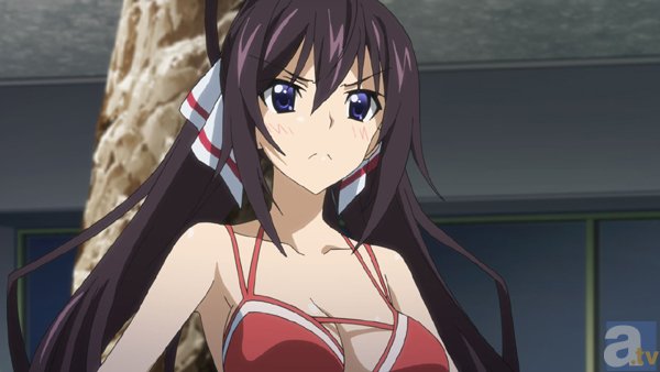 『IS＜インフィニット・ストラトス＞2』期間限定！　ヒロインたちのショートドラマ「ガールズ・シークレット・トーク」を店頭で公開！-3