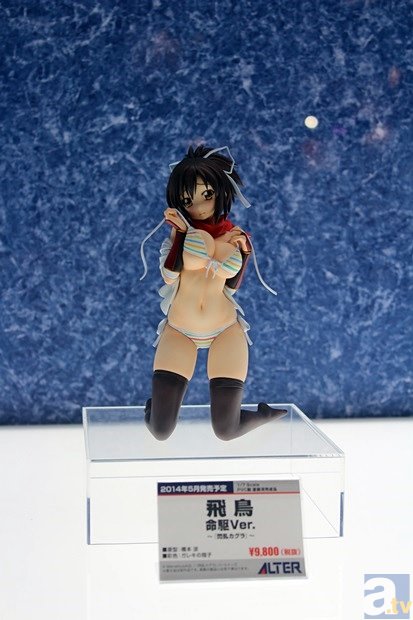 【WF2014冬】ワンダーフェスティバル2014[冬]　メーカーフォトレポ1-31